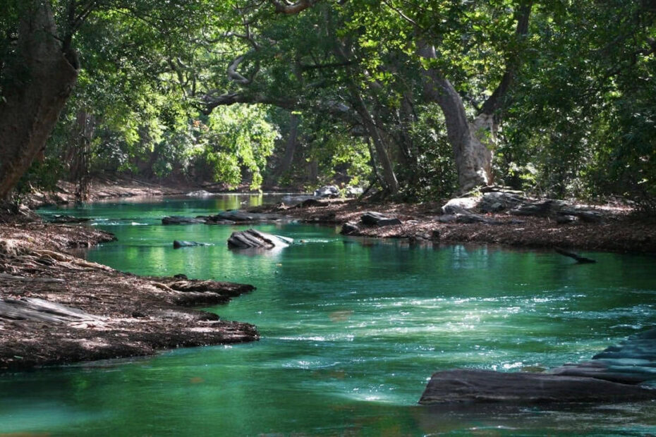 Langkah untuk mengatasi Pencemaran Sungai di Malaysia