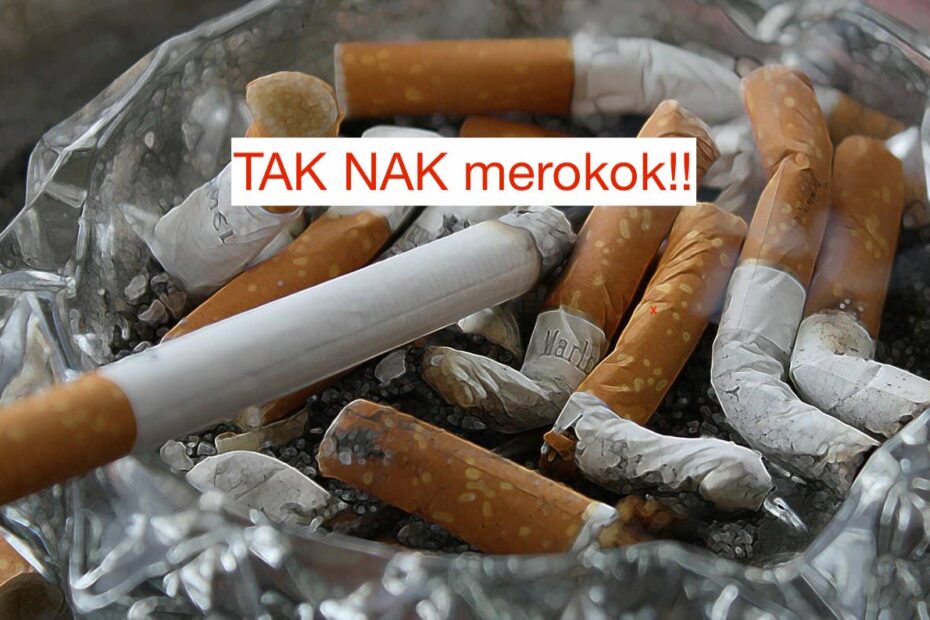 Contoh Karangan Kempen anti merokok