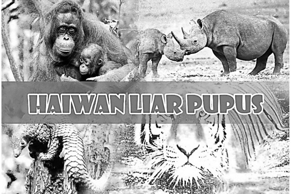 Ujian Bertutur Individu: Kepupusan haiwan liar