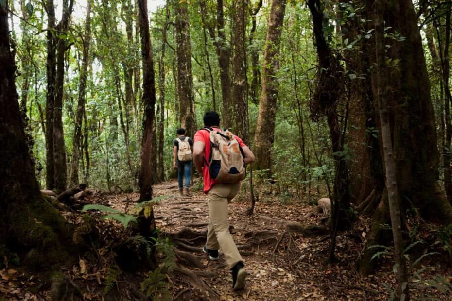 Langkah memajukan ekopelancongan di Malaysia Langkah memajukan ekopelancongan di Malaysia