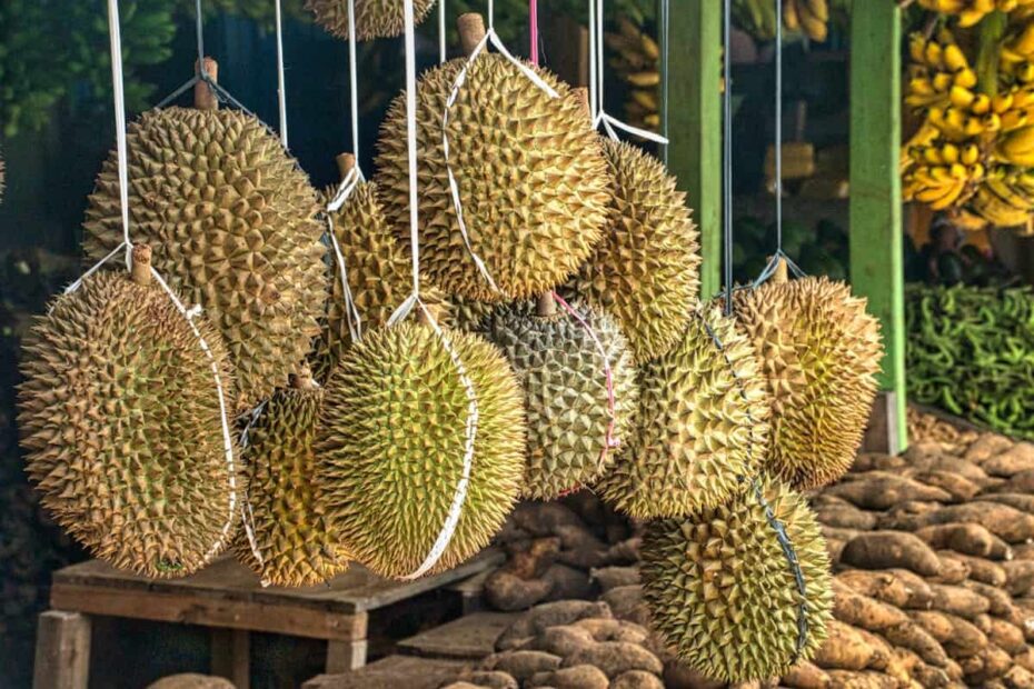 Contoh Karangan Kebaikan Makan Buah-buahan Tempatan
